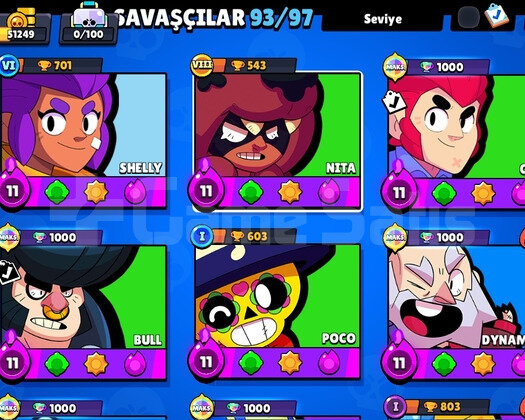 NADİR BRAWL STARS HESABI