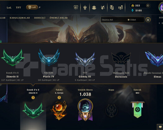 333 KOSTÜM 739 LVL PLATIN EFSANE DOLU MAİL HESAP