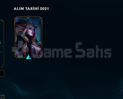 2021 KURULUM BRONZ EĞLENMELİK HESAP