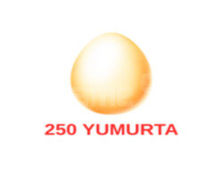 250 YUMURTA