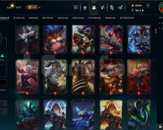 EUW / 689 LEVEL / 590 SKİN /+MAİL /+10.000 SATIŞ