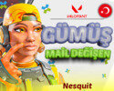 TR - GÜMÜŞ - MAİL DEĞİŞEN - DÜŞÜK MMR!