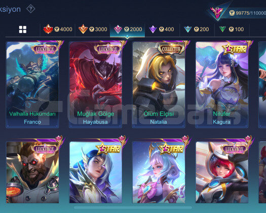 Saygın 4 selena zenith vex zenith karina kof