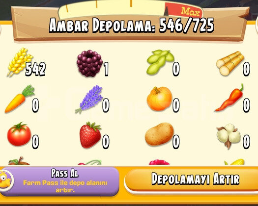 43 Level Hesap 1050 Ağıl