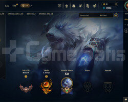 EUW Bronz 4 Temiz LoL Hesabı