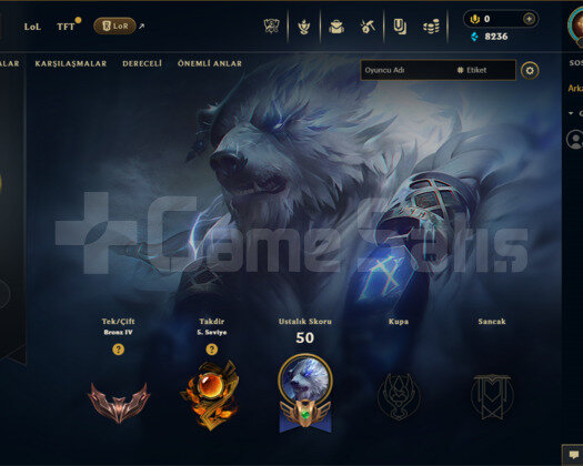 EUW Bronz 4 Temiz LoL Hesabı