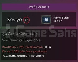 Acıl Satilik 10 yıllık steam hesabı
