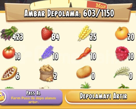 62 LEVEL HAYDAY HESABI!!!