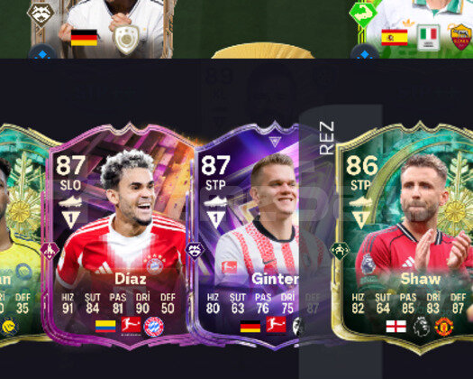 PC Web App açık!! 200k coins wl hazır hesap
