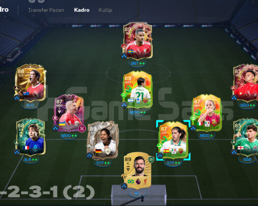 PC Web App açık!! 200k coins wl hazır hesap