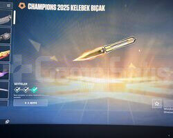 CHAMPIONS 2025 SET GÜMÜŞ 2 HANDMADE HESAP