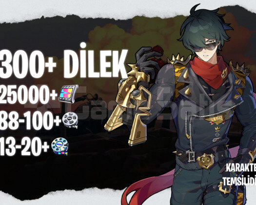 EU | IK30+ 300+ Dilek - 25000+ Polychrome 88/13