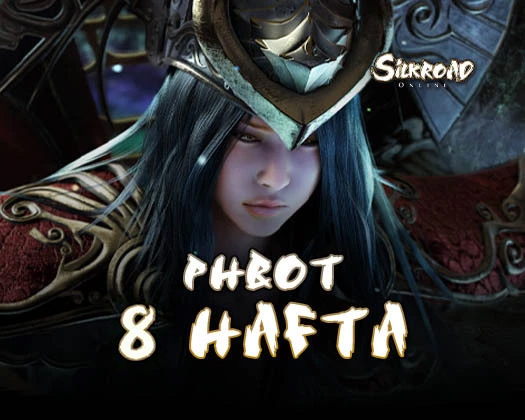 Silkroad Online phBot 8 Hafta