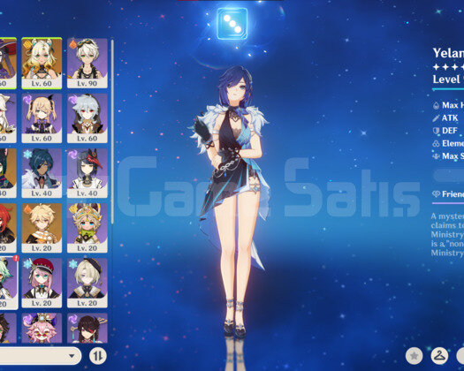 C6R1 95LVL YELAN + SKINI VE XILONEN