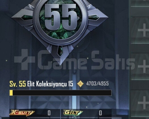 BUZ DİYARI 4 SV 65 DESTANSI TEK BAĞ