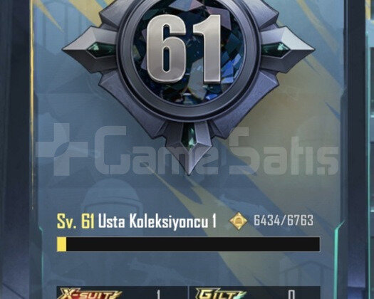 KOLEKSİYON DELİSİ TEK BAĞ !