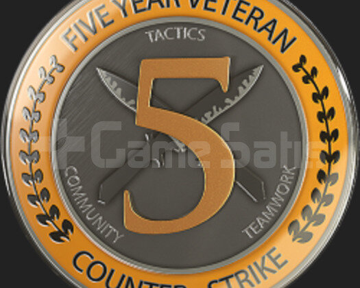 5 yıllık madalyalı hesap
