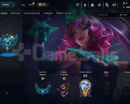 West PLAT 11 skin, 13 renk, yüksek lp hesap UCUZ