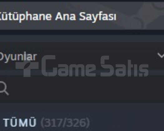 UYGUNA GIRTLAK DOLUSU STEAM HESABI