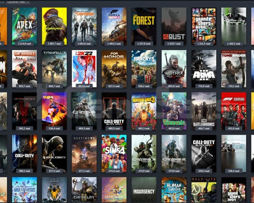 UYGUNA GIRTLAK DOLUSU STEAM HESABI