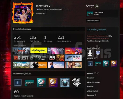 UYGUNA GIRTLAK DOLUSU STEAM HESABI