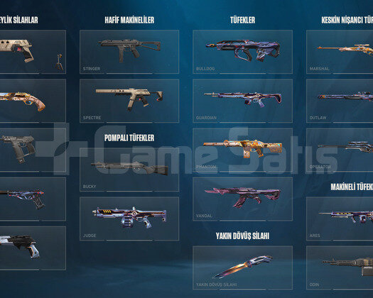 İMMO3 SKINLI HESAP
