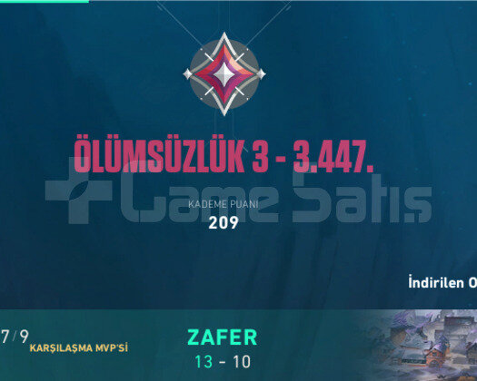 İMMO3 SKINLI HESAP