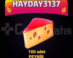 100 ADET PEYNİR