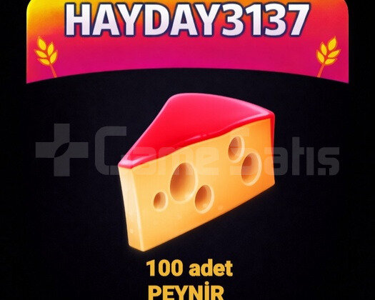 100 ADET PEYNİR