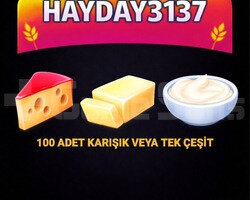 100 ADET PEYNİR KREMA TEREYAĞ