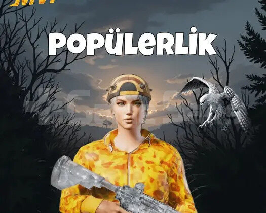 2.000 popülerlik hızlı teslimat