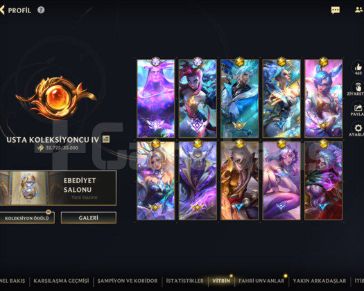Wild Rift Bol değerli skin
