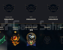 - 80 wr dia 3 bitiren 30 lp gainli emerald 2 hesap