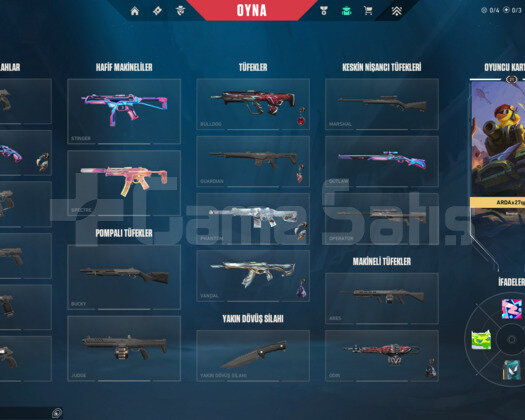 TR 21 LEVEL MAİLLİ 8 SKİNLİ DOLULAR DOLUSU!!!