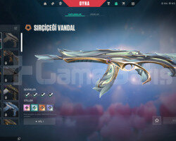 TR 21 LEVEL MAİLLİ 8 SKİNLİ DOLULAR DOLUSU!!!