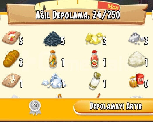 33 Level Hayday Hesap