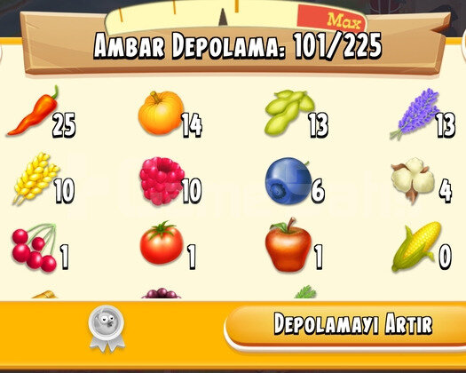 33 Level Hayday Hesap