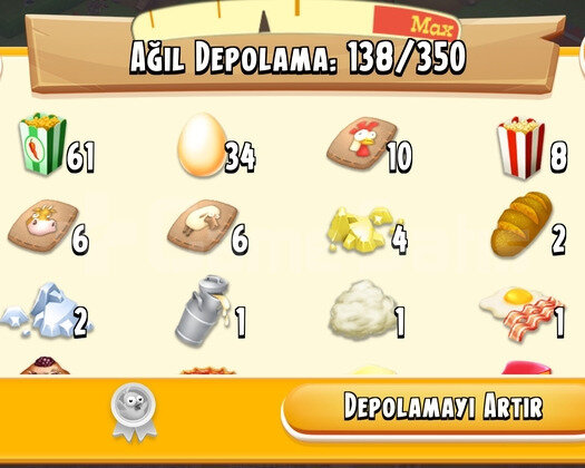 29 Level Hayday Hesap