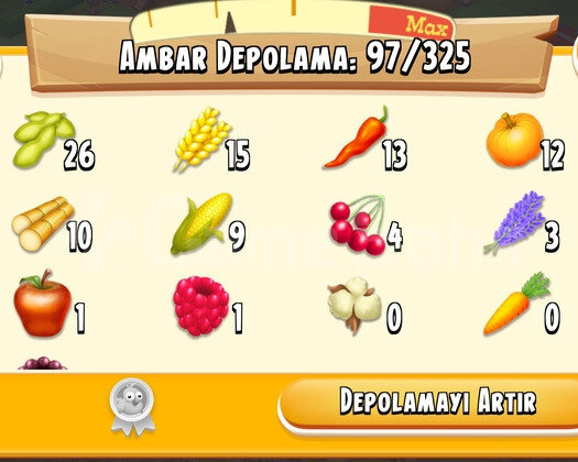 29 Level Hayday Hesap
