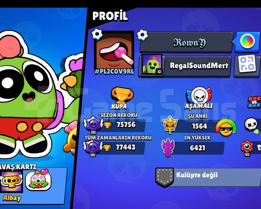 75k 2019 hesabı
