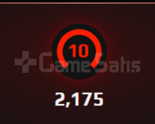 FACEIT 10 LVL NİCKNAME DEĞİŞTİRME HAKKI VAR