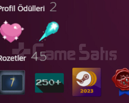 7 YILLIK 4 BİN DOLAR DEĞERİNDE OYUNLU 40 LVL STEAM