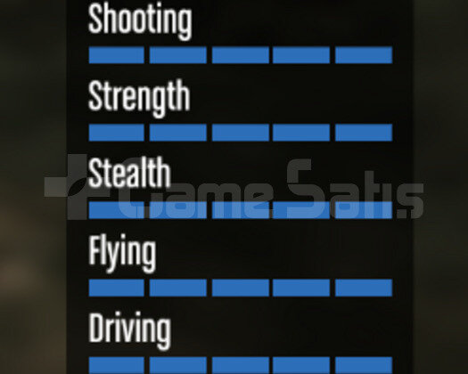 10 MODLU ARAÇ 10 MODLU KIYFT 1 MR 999 LVL