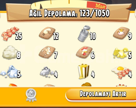 45 Level 1050 Ağıl Hayday Hesap
