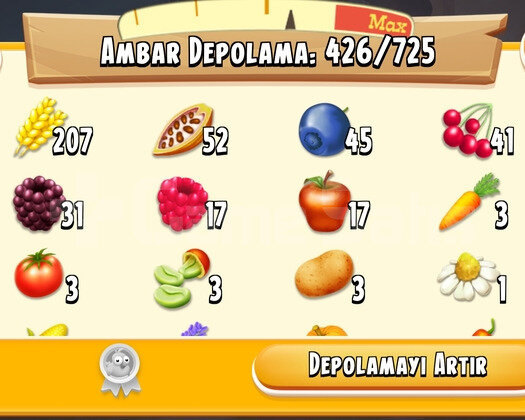 45 Level 1050 Ağıl Hayday Hesap