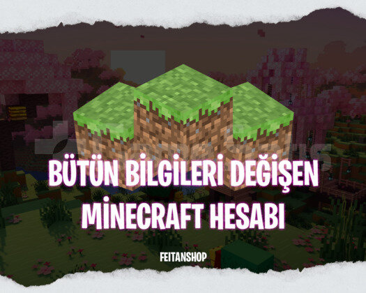 Tüm bilgileri değişen Minecraft hesabı