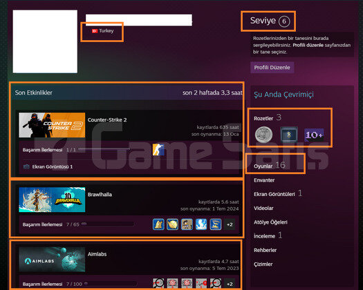 TR HESABI 200 TL CS GO ENVANTERLİ ETS 2 Forza Hori