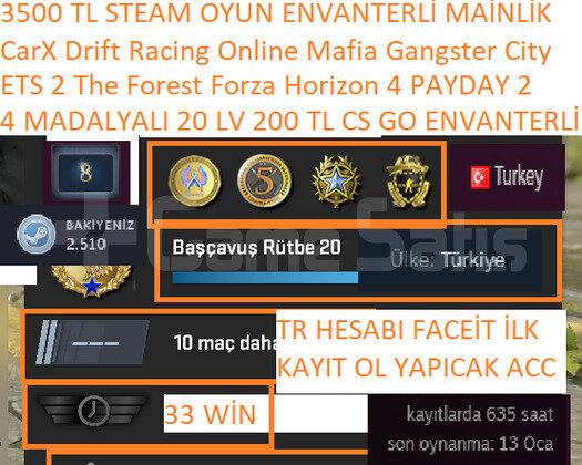 TR HESABI 200 TL CS GO ENVANTERLİ ETS 2 Forza Hori