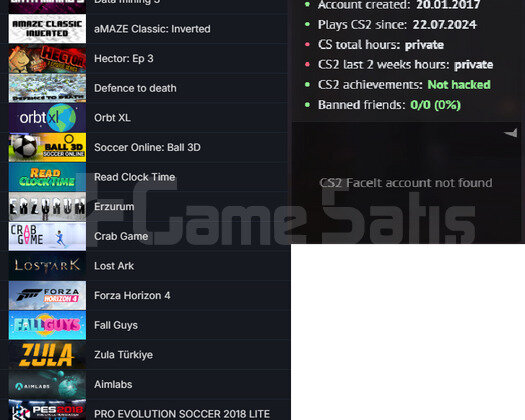 TR HESABI 200 TL CS GO ENVANTERLİ ETS 2 Forza Hori