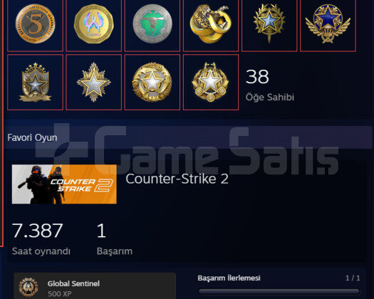 FACEİT 10 LEVEL 8000 SAAT 13 MADALYALI